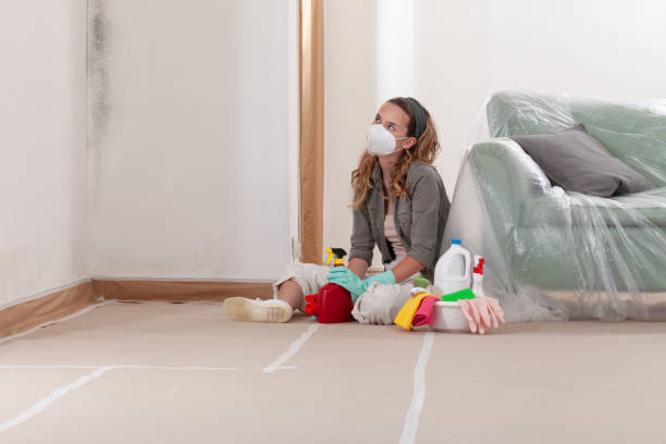 Reliable Mold Remediation contractor in Carrollton, IL by WQB Mold Removal